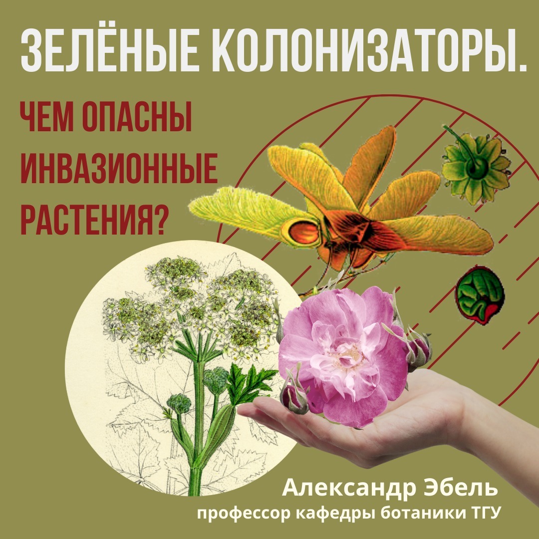 Зеленые колонизаторы. Чем опасны инвазионные растения? — Александр Эбель episode artwork