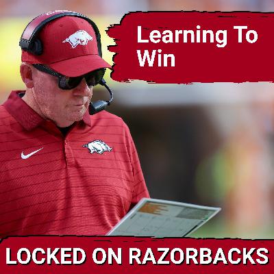 How Can Arkansas Learn How To Win Right Now?