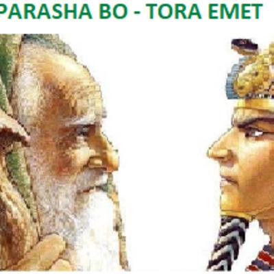 Lectura Parasha BO