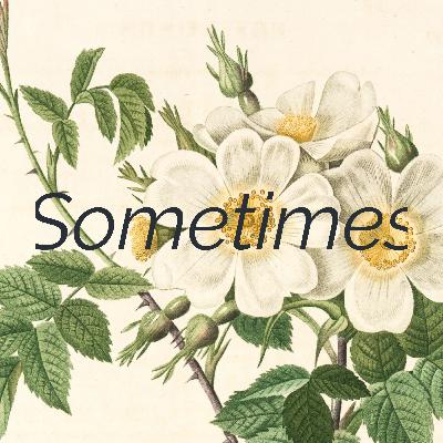 E1: Body Image and Carrot Cake