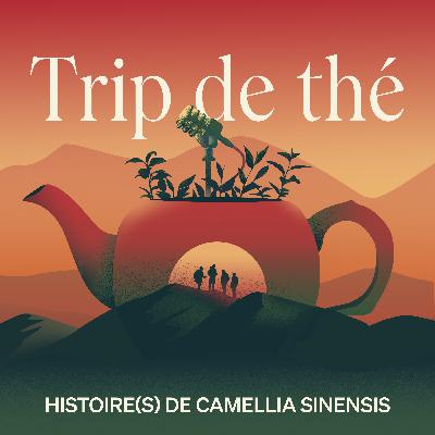 À la source : Héritage