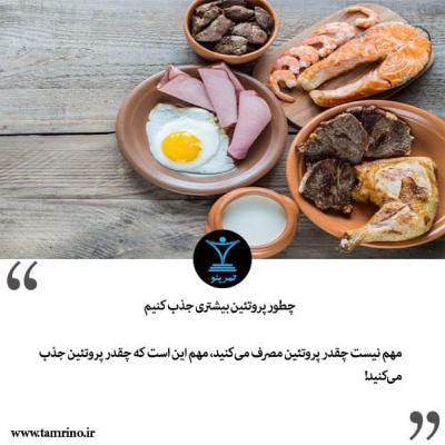 چطور پروتئین بیشتری جذب کنیم؟ (هوش مصنوعی) چطور پروتئین بیشتری جذب کنیم؟ (هوش مصنوعی)