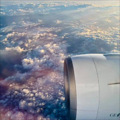 EP131 臨時飛回美國,H1B 十萬美金的威脅! EP131 臨時飛回美國,H1B 十萬美金的威脅!