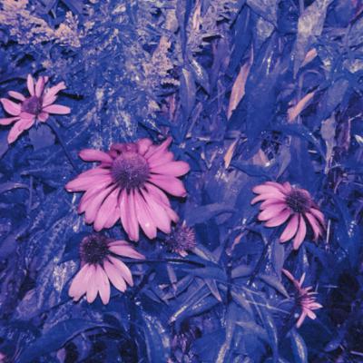 deep house 4 peace