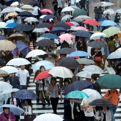 10 Catolicismo Evangélico