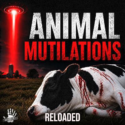 RELOADED | 347: Animal Mutilations RELOADED | 347: Animal Mutilations