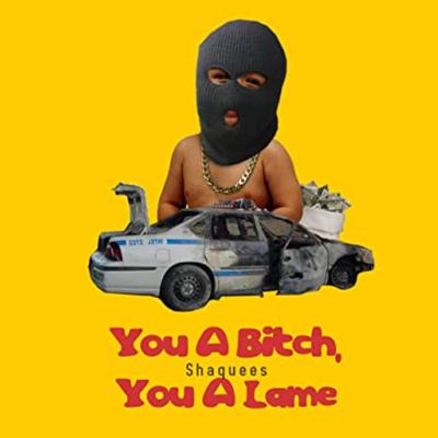 You a Bitch, You a Lame