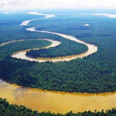 A importância da Floresta Amazônica. A importância da Floresta Amazônica.