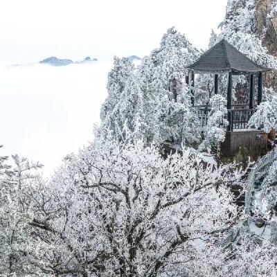 春节假期，这些景区免门票啦
