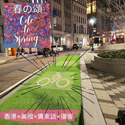 波士頓單車徑Boston Bike Lanes