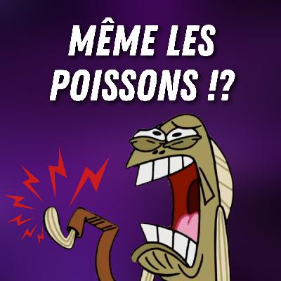 Les animaux ressentent-ils la douleur ? 🐇 Les animaux ressentent-ils la douleur ? 🐇