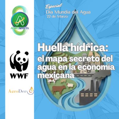 Huella Hídrica: el mapa secreto del agua - Especial "Día Mundial del Agua"