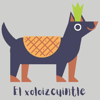 El xoloizcuintle