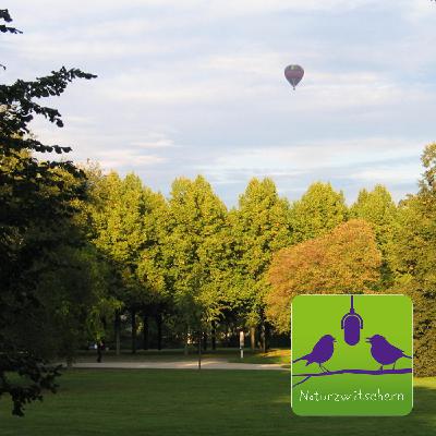 Naturzwitschern mit Heiko Wohltmann