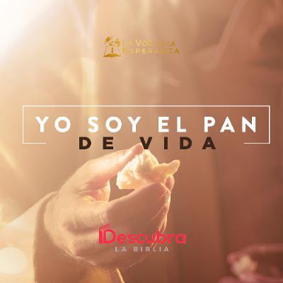 Yo soy el pan de vida