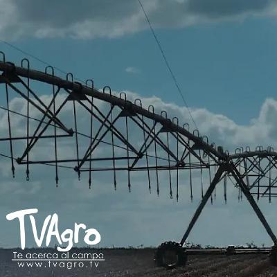 Cual es la Actividad Agropecuaria en Minas Gerais - TvAgro por Juan Gonzalo Angel