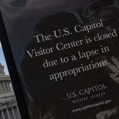 Gov't shutdown continues; White House Press Secretary Karoline Leavitt talks to NPR