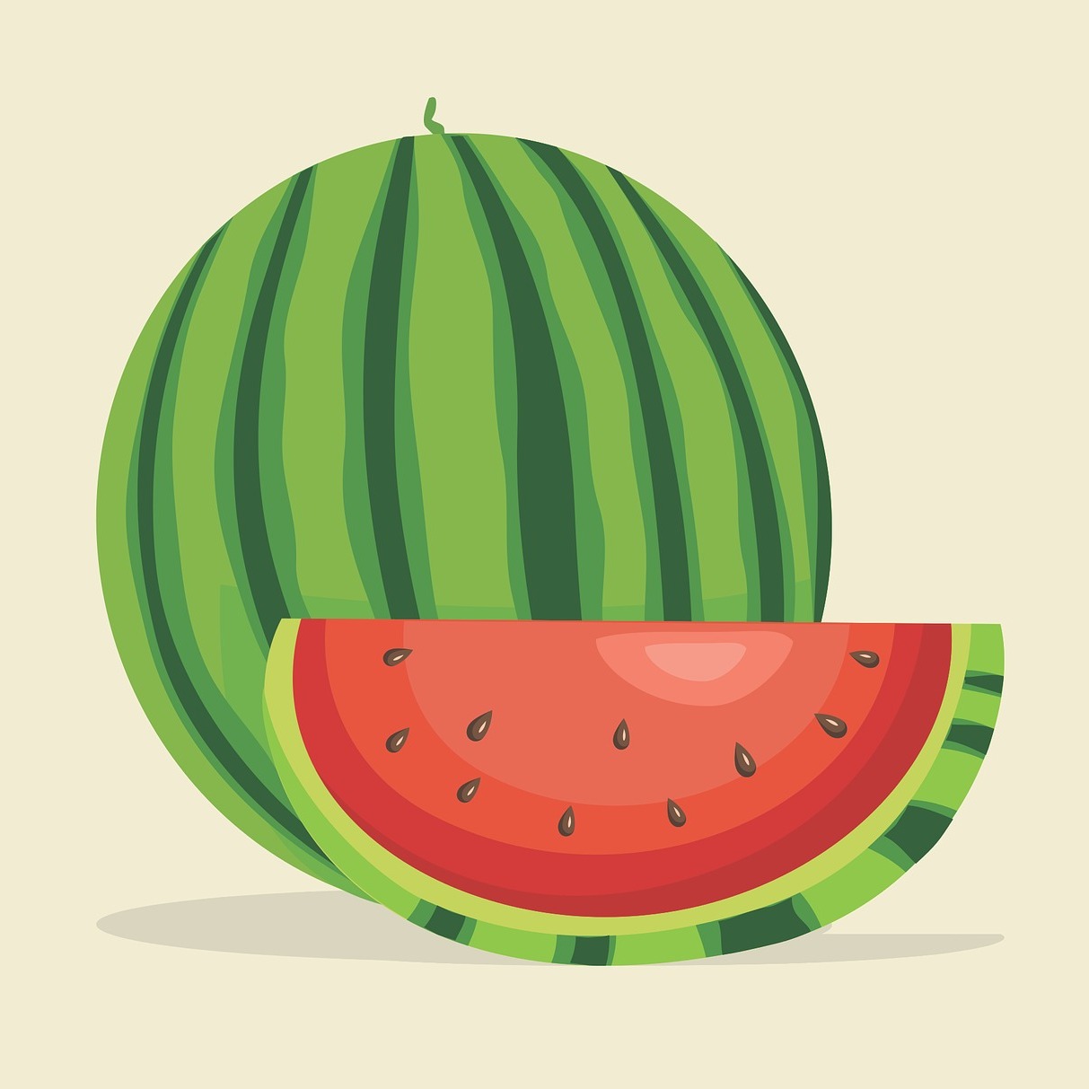 Learn Chinese - MelonChinese