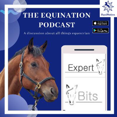 The wonderful world of horse bits