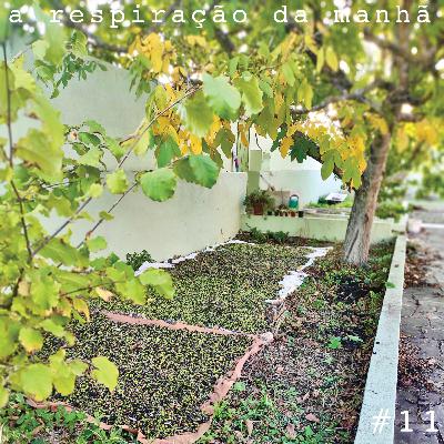 pessoas estrelas beleza