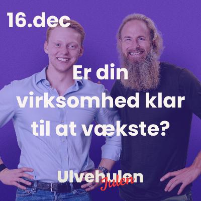 Ulvejulen - 16. december: Er din virksomhed klar til at vækste?