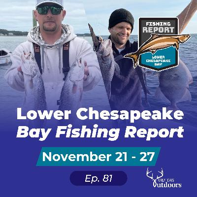 Speckled Trout, Tournament Updates & Tautog Mania