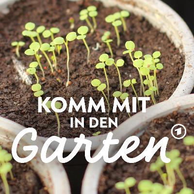 Profi-Tipps zur Anzucht von Jungpflanzen