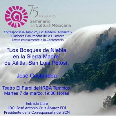 Bosques de niebla en Xilitla - José Castañeda Bosques de niebla en Xilitla - José Castañeda