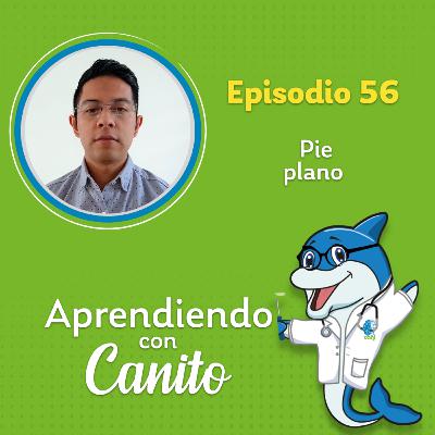56: Pie plano