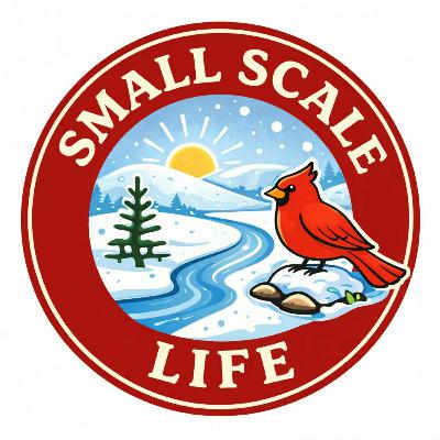 The Slow Down Season