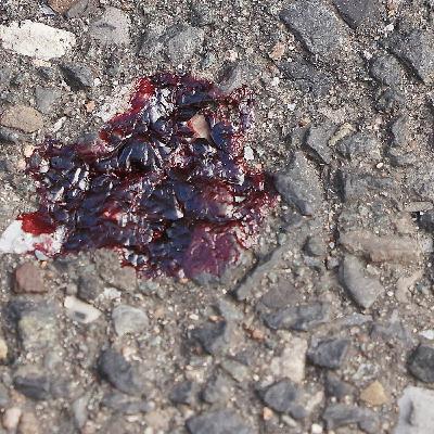 Markus Rieger-Ladich: Die Wurzel der Unmenschlichkeit