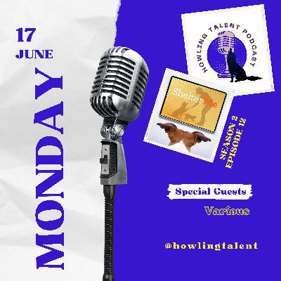 With Shelter Me: Dog Mountain - Dealing with the Loss Of Our Pets