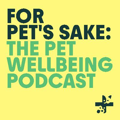 How to measure your puppy’s growth