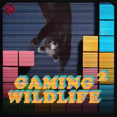 Gaming Wildlife 2 Ep.8 - Il mio 2024 videoludico