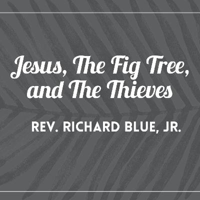 Lent Week 4: Devotional and Bible Study Lent Week 4: Devotional and Bible Study