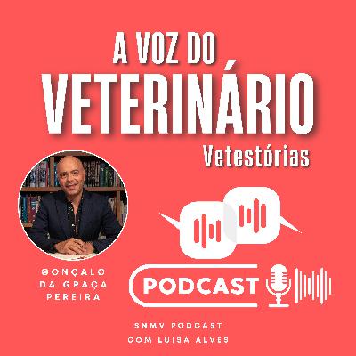 T2/EP8 - Vetestórias - Gonçalo Da Graça Pereira T2/EP8 - Vetestórias - Gonçalo Da Graça Pereira
