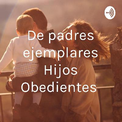Mi hijo me responde mal Mi hijo me responde mal