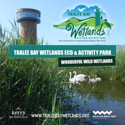 Wonderful Wild Wetlands Wonderful Wild Wetlands
