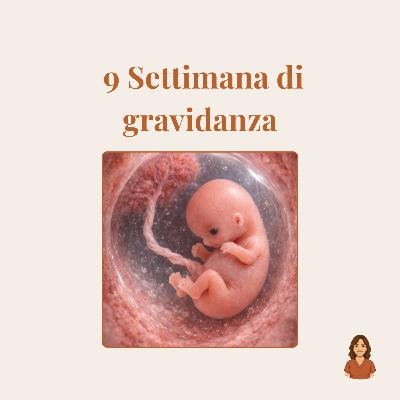 9ª settimana di gravidanza: cosa si sta formando nel tuo bambino (e perché ti senti così stanca) 9ª settimana di gravidanza: cosa si sta formando nel tuo bambino (e perché ti senti così stanca)