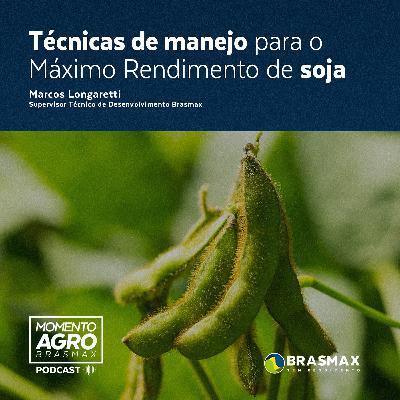 Momento AGRO Brasmax #15 - Técnicas de manejo para o máximo rendimento de soja