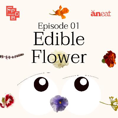 ABM Special - Tập 1 AB2M - Edible Flower: Những bông hoa ăn được! Tại sao người ta lại đặt hoa lên đồ ăn làm gì, để trang trí hay thực sự là để ăn?