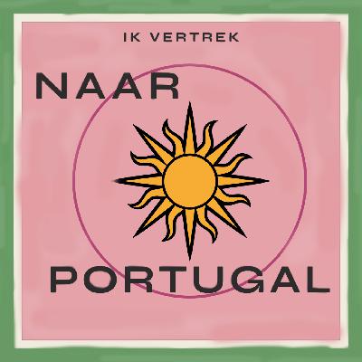 Een airbnb beginnen op Madeira, gedoe met een verkoper en de aanbetaling en je droom achterna (Rachelle Biever)
