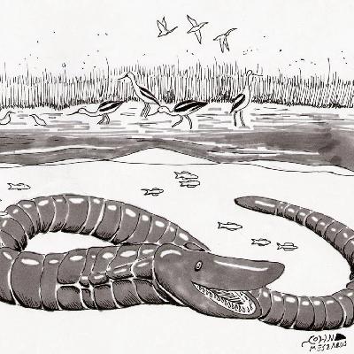 Episode 494 - A Mental Exercise (Snake Cryptids) Episode 494 - A Mental Exercise (Snake Cryptids)