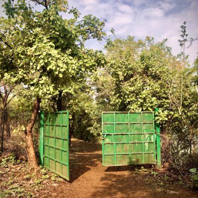 An ode to beginning anew