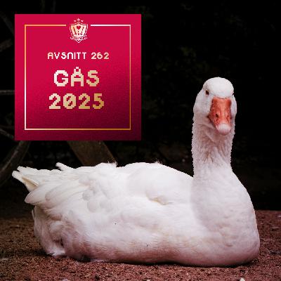 262. GÅS 2025