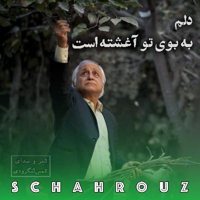 شمس لنگرودی | دلم به بوی تو آغشته است