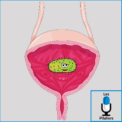 Les infections urinaires Les infections urinaires