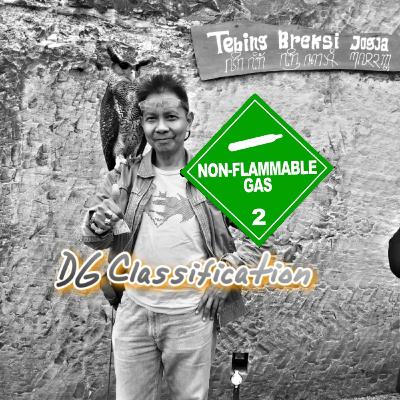 #2. Dangerous Goods Classification