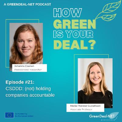 #21: CSDDD: (not) holding companies accountable