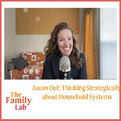 Zoom Out: Thinking Strategically about Household Systems Zoom Out: Thinking Strategically about Household Systems